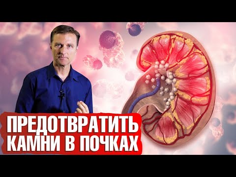 Лактоморфотипы в мазке что это такое