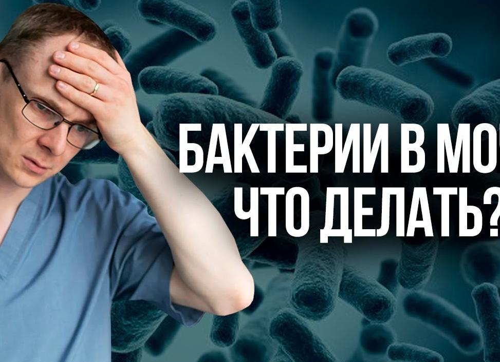 Как лечить в моче бактерии