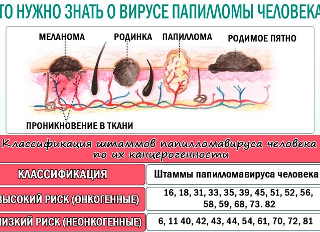 Что показывает онкоцитология