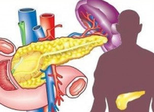 Анализ узи жвс