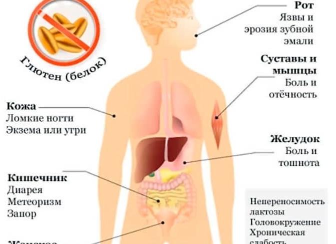 Анализ на целиакию что это