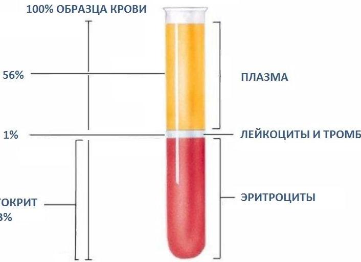 Анализ крови нст