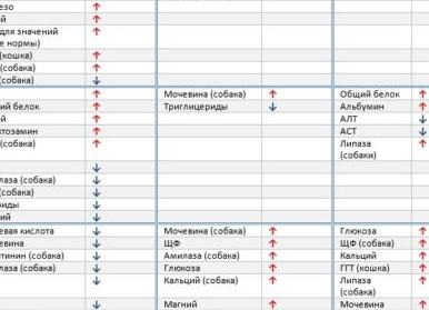 Амилаза панкреатическая норма в крови