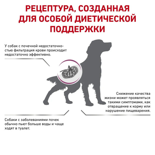 Как снизить креатинин в крови при почечной недостаточности у стариков