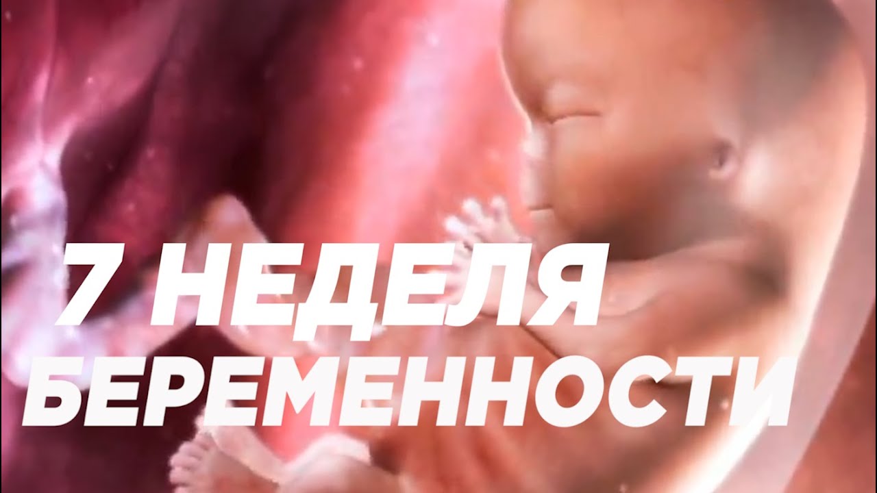 Как выглядит малыш в 7 недель