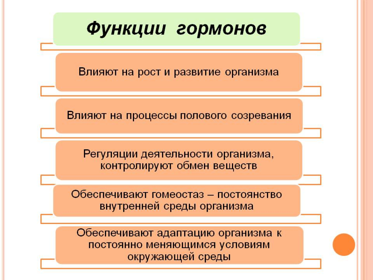 Какие гормоны влияют