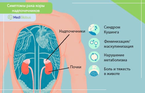 Кто лечит надпочечники