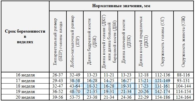 Лзр плода по неделям таблица