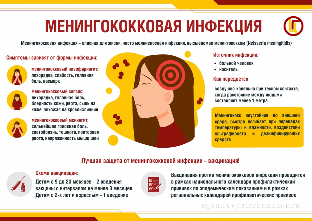 Менингококковая инфекция это