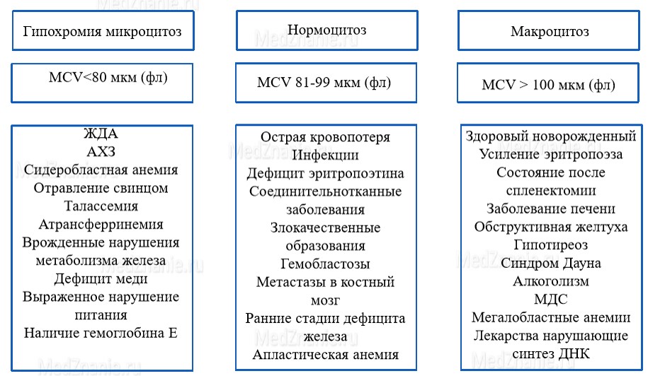 Микроцитоз что это такое у детей