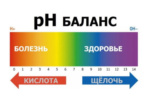 Моча щелочная что значит