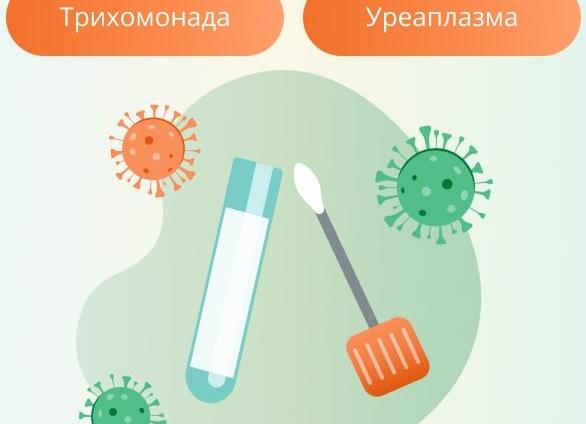 Мазок на инфекции у мужчин как берут