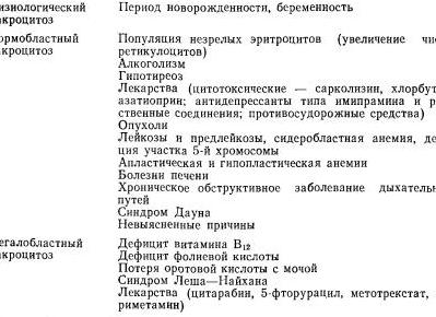 Макроцитоз что это