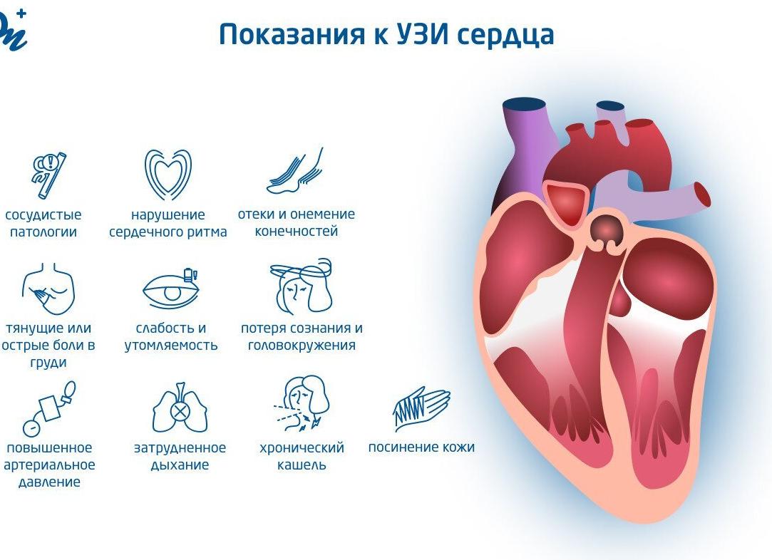 Где можно сделать ребенку узи сердца