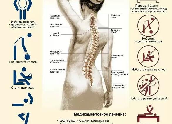 Диагностика боли в спине