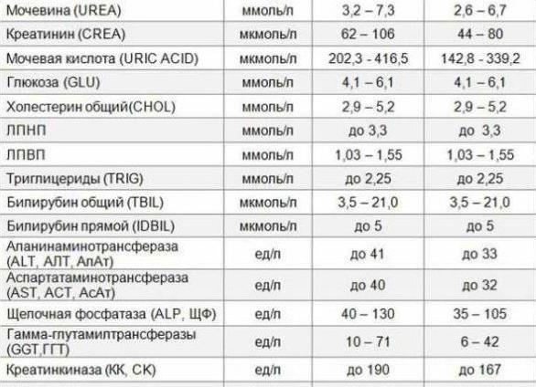 Амилаза норма у женщин в крови
