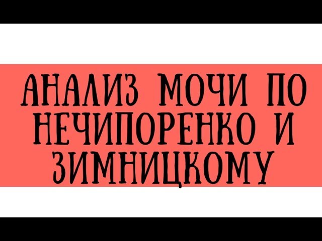 Как правильно собрать мочу по зимницкому