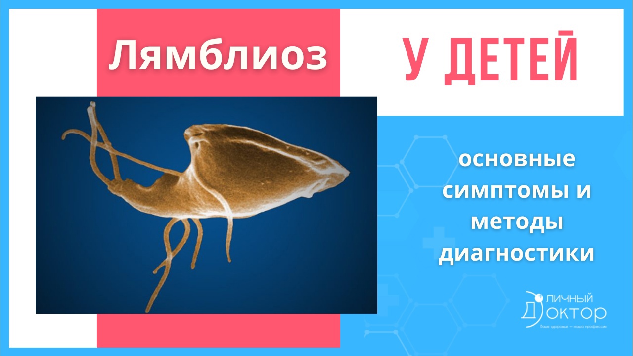 Как сдать кал на лямблии