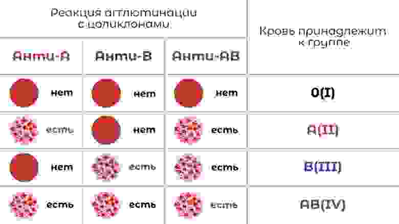 Какая группа крови подходит к 4 положительной