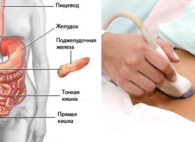 Комплексное узи внутренних органов Комплексное узи внутренних органов