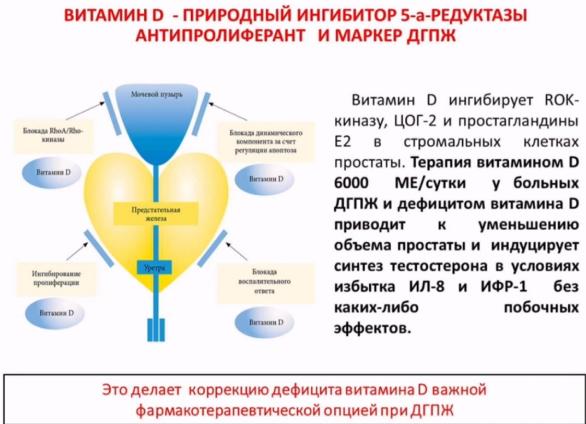 Гормоны человека и в каких ситуациях