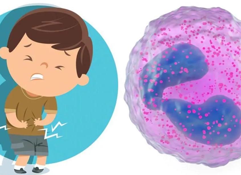 Эозинофилы повышены у ребенка в крови что это