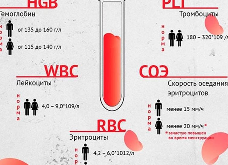 Что можно узнать по анализу крови