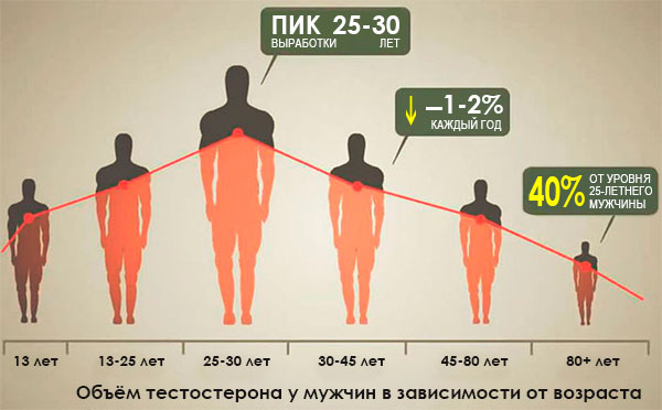 Гормоны у мужчин