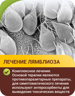 Как выявить лямблии