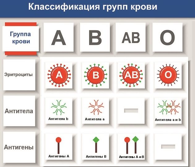 Кровь 4 положительная характеристика