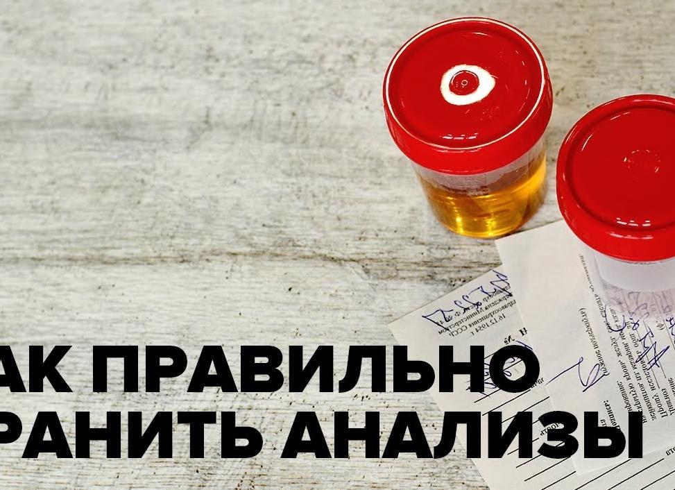 Можно ли хранить в холодильнике анализы кала Можно ли хранить в холодильнике анализы кала