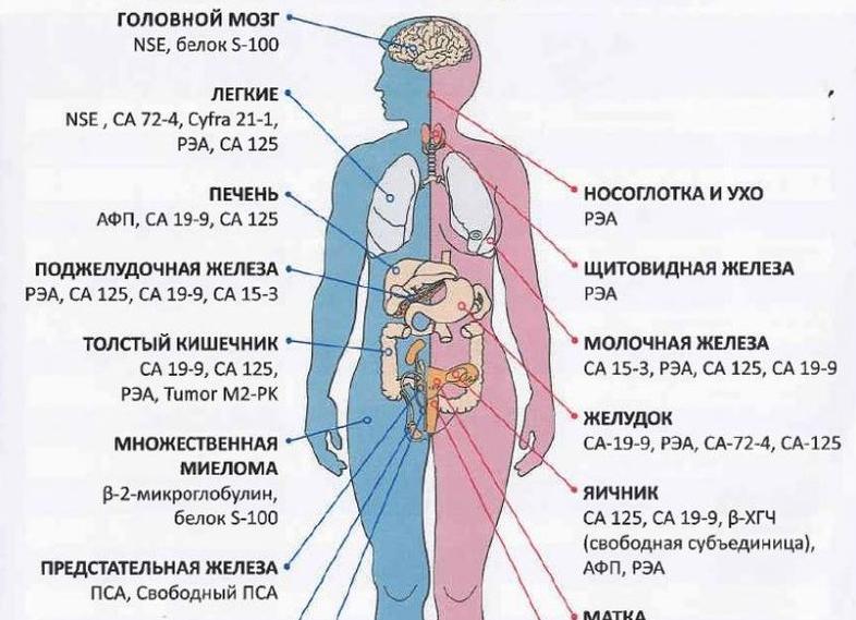 Кровь на рэа Кровь на рэа