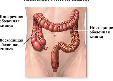 Как можно проверить кишечник