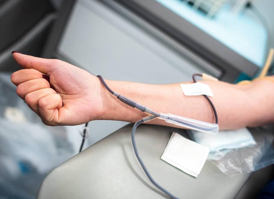 Как берут плазму крови Как берут плазму крови