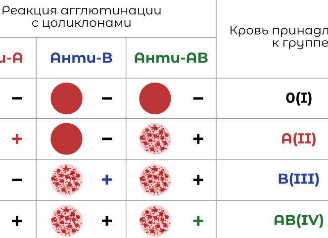Анализ на определение группы крови