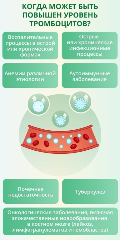 Как снизить количество тромбоцитов в крови