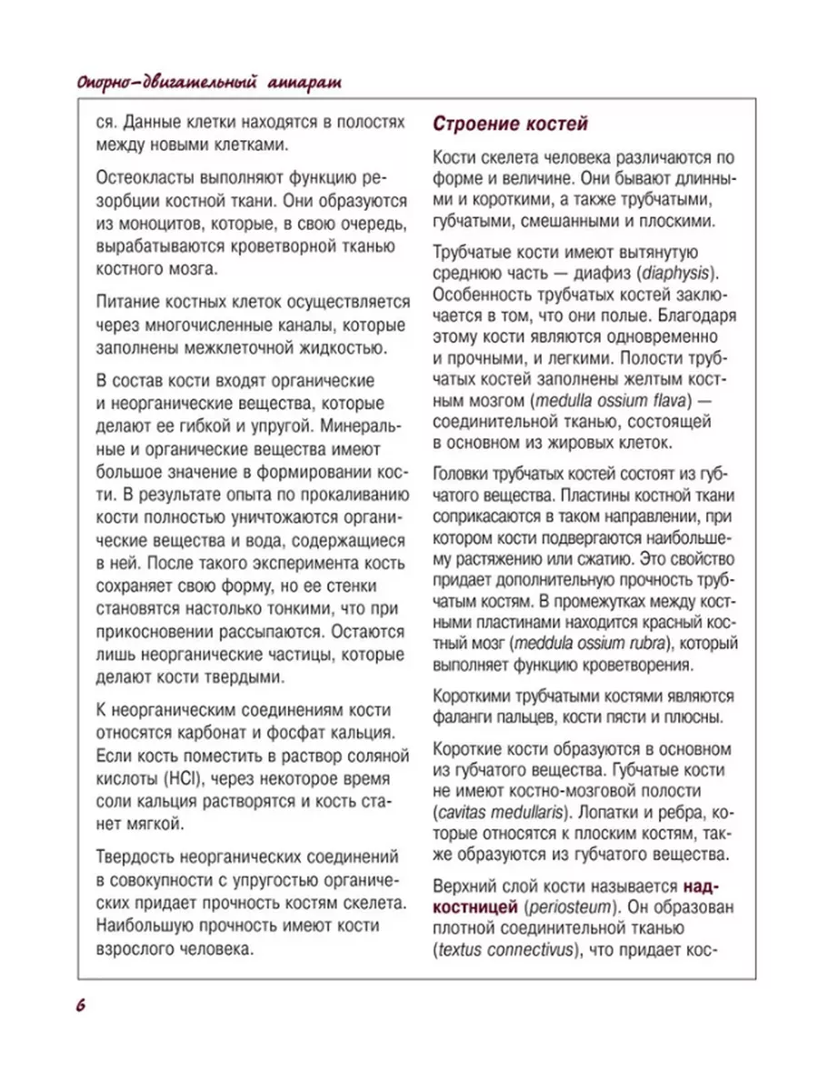 Какие свойства строения костной ткани придают скелету прочность