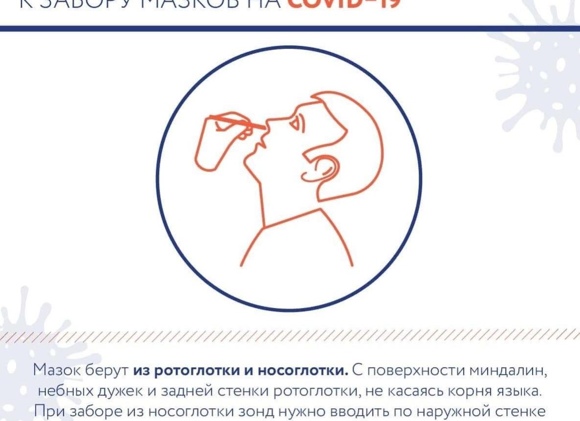 Мазок берут откуда