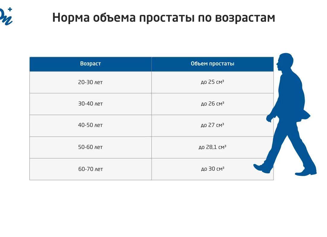 Какой размер предстательной железы считается нормальным