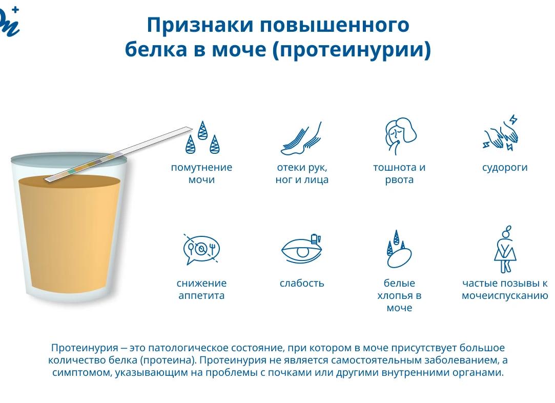 Как повысить белок в моче Как повысить белок в моче