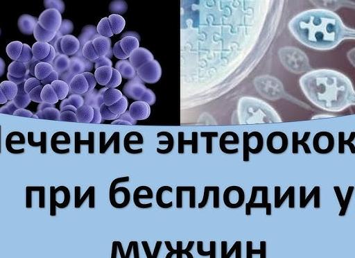 Энтерококк фекальный в мазке