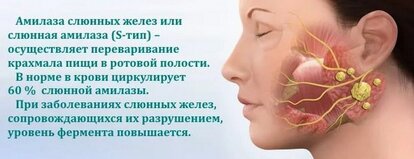 Амилаза что это