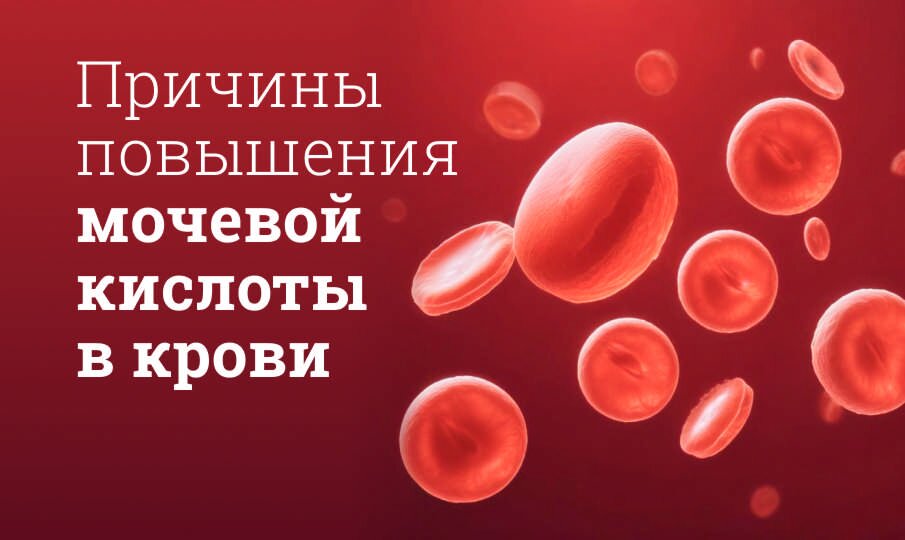 Мочевая кислота в крови норма