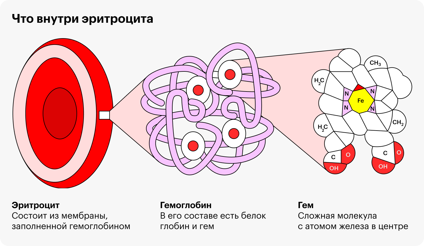 Может ли из за низкого гемоглобина болеть голова