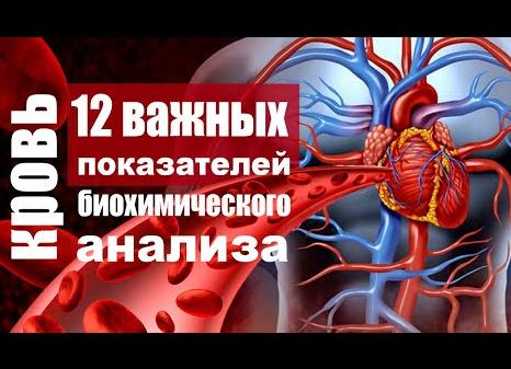 Ионограмма крови расшифровка