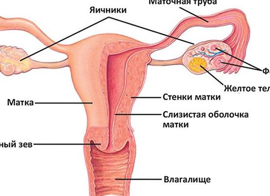 Гинекологические заболевания у женщин выделения