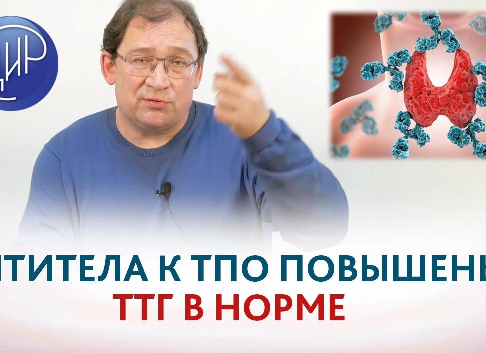 Анти тпо повышен что это такое