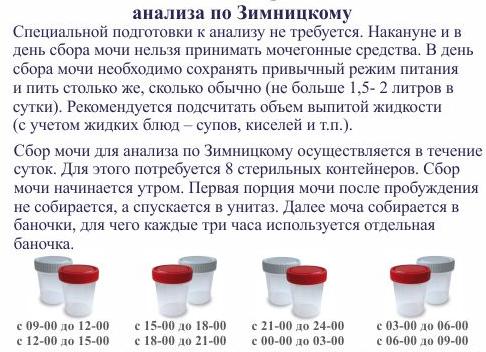Анализ по зимницкому как сдавать