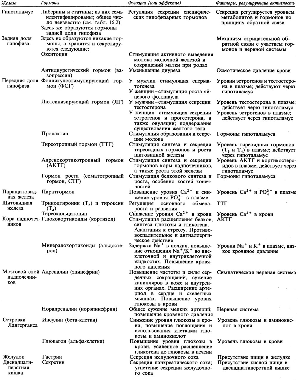Гормоны и их функции таблица