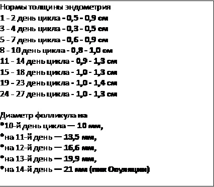 Как растет эндометрий по дням цикла